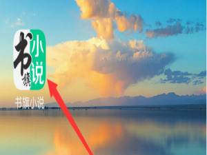 说说6书旗小说阅读喜好怎么设置。