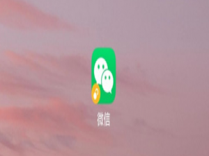 说说6怎么在微信上查看核酸检测结果。