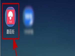 说说6蘑菇街身高体重信息在哪添加。