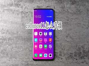 说说6coloros11系统怎么升级。
