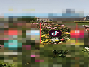 说说6抖音私信怎么关闭。