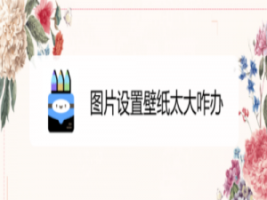 说说6图片壁纸太大怎么办。