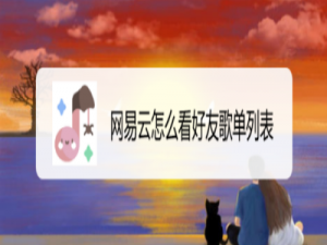 说说6网易云好友歌单怎么看。
