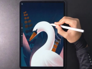 说说6procreate pocket和procreate区别介绍。