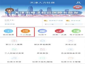 天津人力社保缴费记录如何查询。