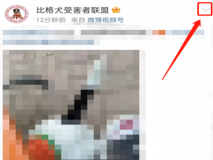 微博在什么地方设置稍后观看。