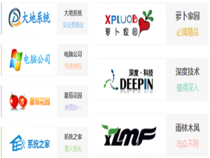 win10系统哪家公司做的好。