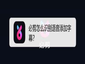 我来分享必剪语音识别加字幕功能怎么用。