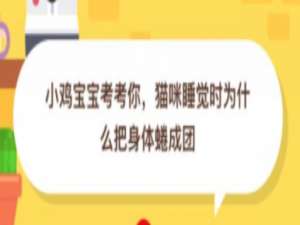 我来分享猫咪睡觉时为什么把身体蜷成团。
