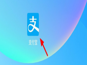 我来分享支付宝如何修改暗号。