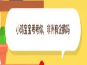 我来分享非洲有企鹅吗。