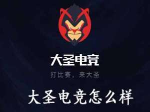 我来分享大圣电竞怎么样。