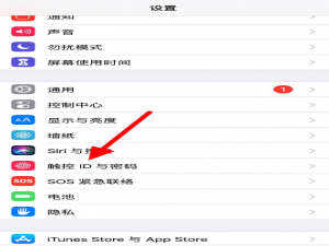 我来分享iPhone如何开启抹掉数据功能。