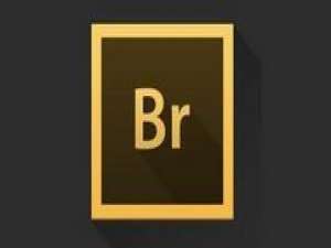 我来分享adobe bridge cc 2017图文安装的具体步骤 我来分享一本书