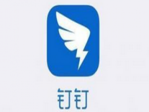 我来分享钉钉电脑版设置自定义工作状态的操作流程