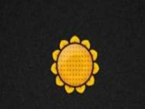 我来分享向日葵被控端配置操作方法 向日葵我来说说屏幕