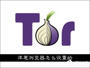 我来分享洋葱浏览器怎么设置的