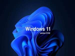 我来分享Win11文件管理器卡顿反应慢怎么办