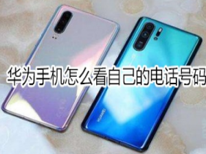 我来分享华为手机如何查看自己的电话号码。