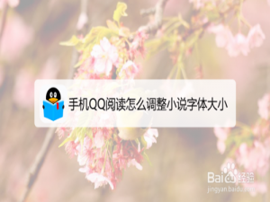 我来分享手机QQ阅读如何调整小说字体大小。