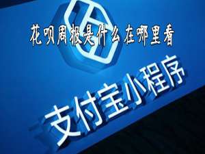 我来分享花呗周报怎么查看。