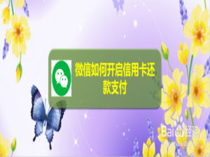 我来分享微信怎么打开信用卡还款支付。