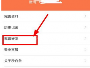 我来分享秒白条我来说说给好友的详细图文教程。