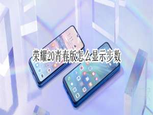 我来分享荣耀20青春版如何显示步数。