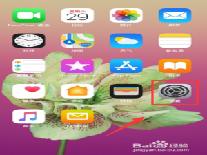 我来分享iPhone xs max如何设置打开小白点。