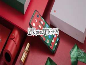 我来分享坚果pro3有NFC功能吗。