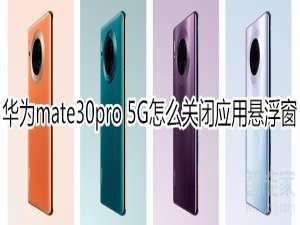 我来分享华为mate30pro 5G版在哪关闭应用悬浮窗。
