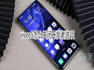 我来分享vivos5如何关闭开发者选项。
