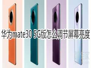 我来分享mate30 5G版如何调节屏幕亮度。