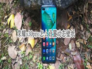 我来分享荣耀v30pro如何设置动态壁纸。