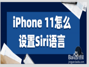 我来分享iPhone11如何设置Siri语言。