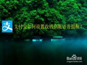 我来分享支付宝怎么设置收钱到账语音提醒。