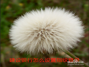 我来分享手机建设银行如何设置指纹登录。
