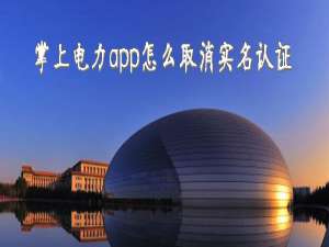 我来分享掌上电力app实名认证怎么取消。