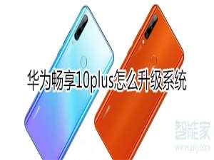 我来分享华为畅享10plus如何升级系统。