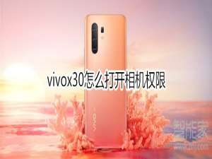 我来分享vivox30如何开启相机权限。