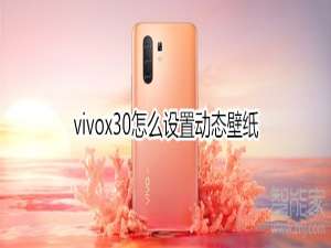 我来分享vivox30如何设置动态壁纸。