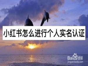 我来分享小红书在哪进行个人实名认证。