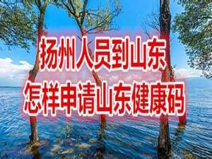 我来分享扬州人员到山东在哪可以申领山东健康码。