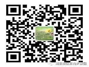 我来分享微信公众号东沟乡静园清明祭扫预约教程。