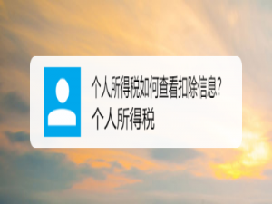 我来分享个人所得税怎么查询扣除信息。