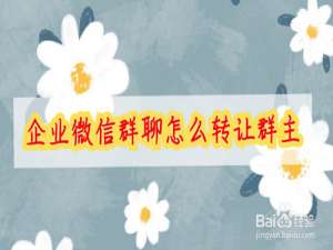 我来分享企业微信群聊如何进行转让群主。