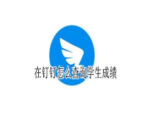 我来分享钉钉在哪查询学生成绩。
