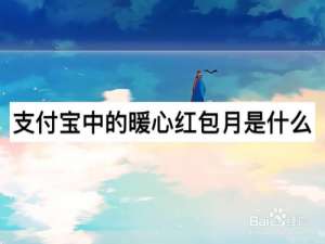 我来分享支付宝中的暖心红包月有什么用。
