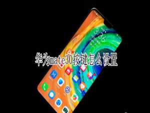 我来分享华为mate30在哪打开按键。