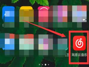 我来分享网易云音乐黑胶VIP年卡领取流程介绍。